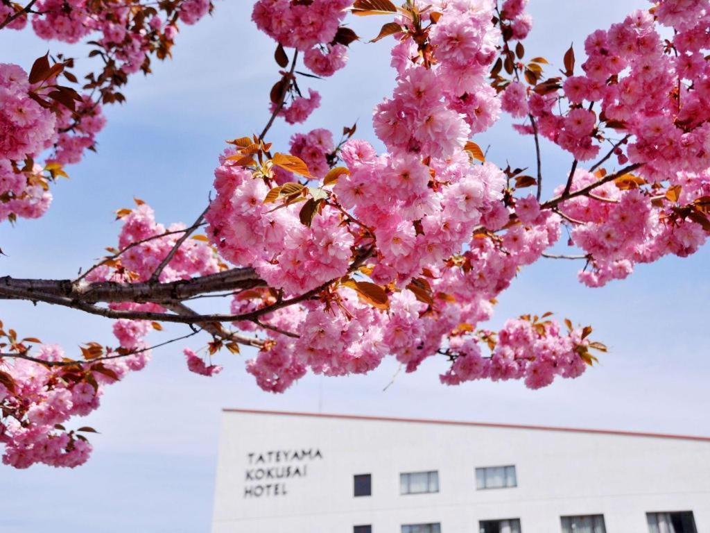 Tateyama Kokusai Hotel Toyama Station Екстериор снимка